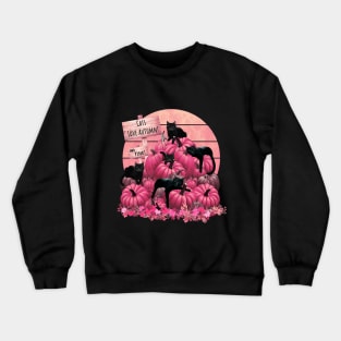 Cats and pink Pumpkin Patch autumn with sing that say cat love autumn, cat pumpkinsin and sunset, color autumn, orange,hello fall autumn lovers Crewneck Sweatshirt